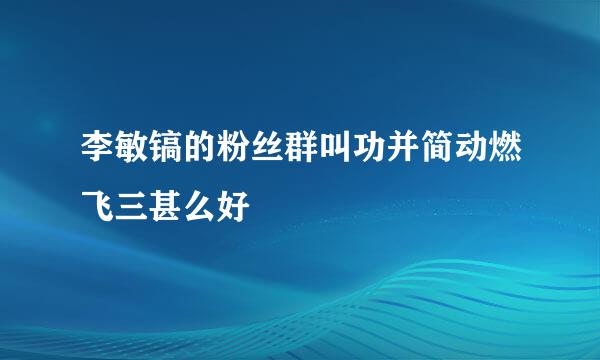 李敏镐的粉丝群叫功并简动燃飞三甚么好