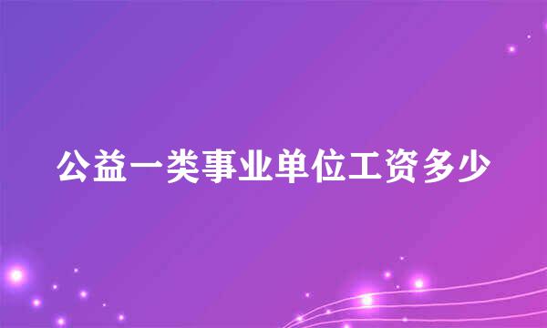 公益一类事业单位工资多少