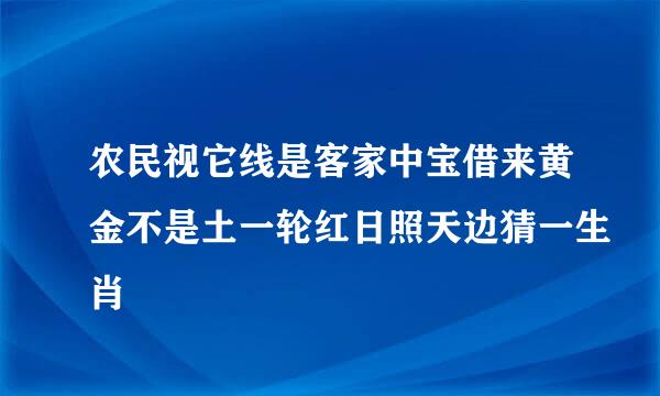 农民视它线是客家中宝借来黄金不是土一轮红日照天边猜一生肖