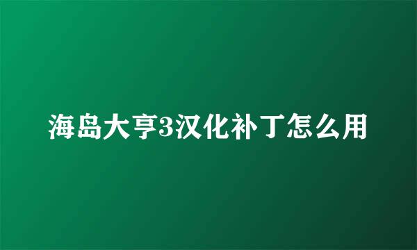 海岛大亨3汉化补丁怎么用