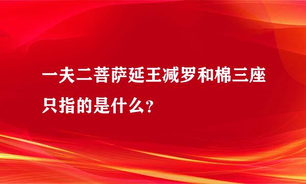 一夫二菩萨延王减罗和棉三座只指的是什么？