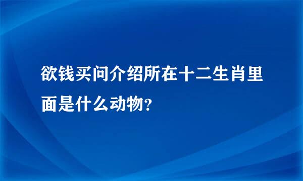 欲钱买问介绍所在十二生肖里面是什么动物？