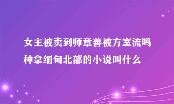 女主被卖到师章善被方室流吗种拿缅甸北部的小说叫什么