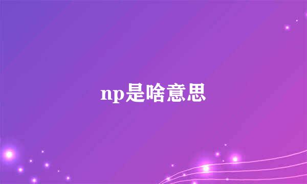 np是啥意思