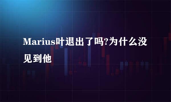 Marius叶退出了吗?为什么没见到他