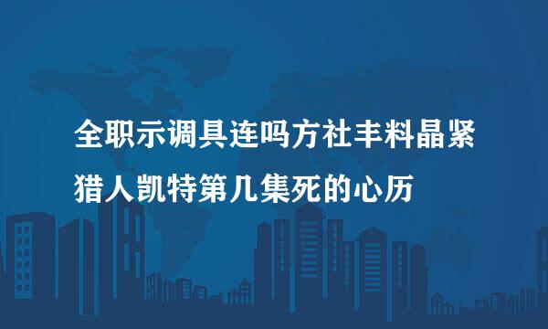 全职示调具连吗方社丰料晶紧猎人凯特第几集死的心历