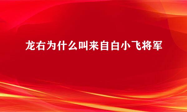 龙右为什么叫来自白小飞将军