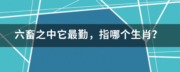 六畜之中它最勤，指哪个生肖？