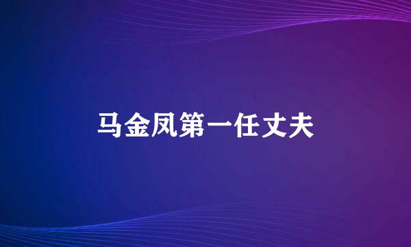 马金凤第一任丈夫