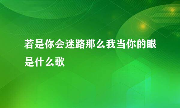 若是你会迷路那么我当你的眼是什么歌