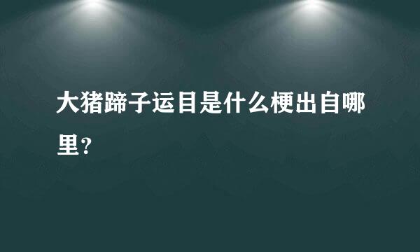 大猪蹄子运目是什么梗出自哪里？