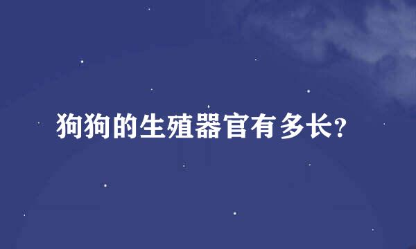 狗狗的生殖器官有多长？