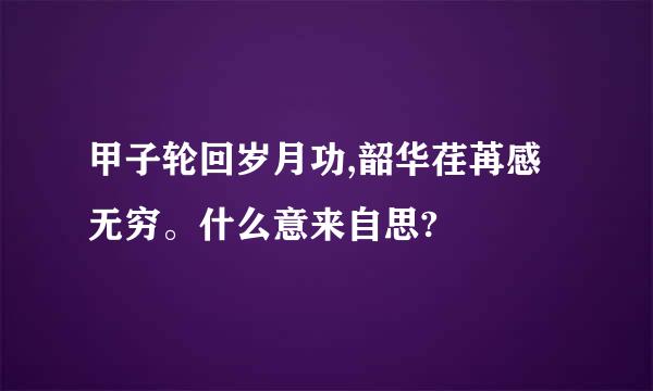 甲子轮回岁月功,韶华荏苒感无穷。什么意来自思?