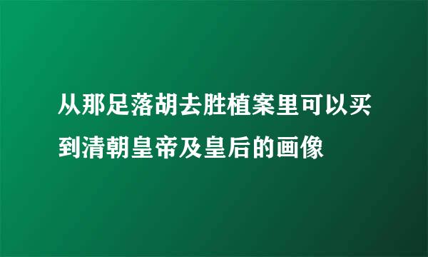 从那足落胡去胜植案里可以买到清朝皇帝及皇后的画像