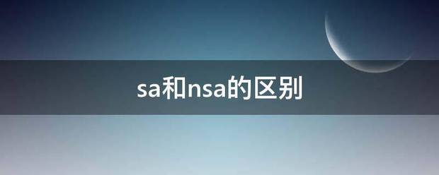 sa和nsa的区别