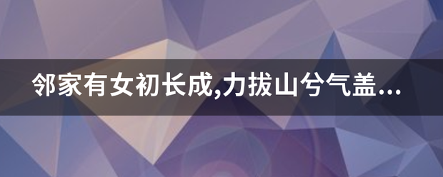 邻家有女初长成,力拔山金指连画学期针兮气盖世意思？