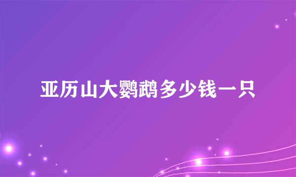 亚历山大鹦鹉多少钱一只