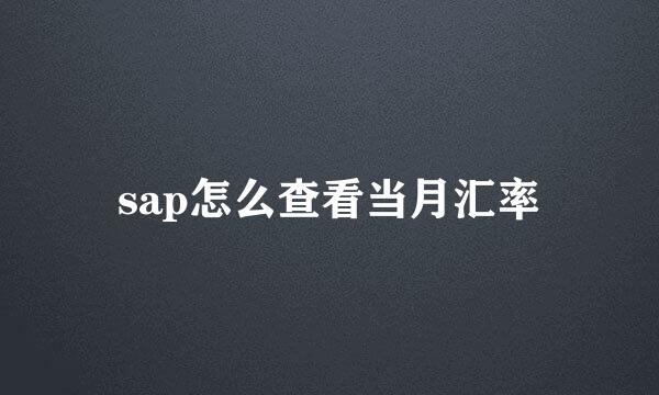 sap怎么查看当月汇率