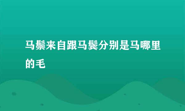 马鬃来自跟马鬓分别是马哪里的毛