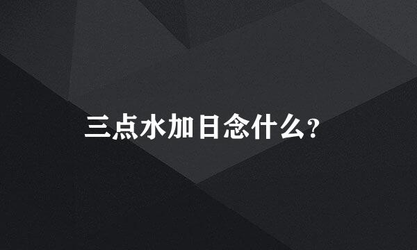 三点水加日念什么？