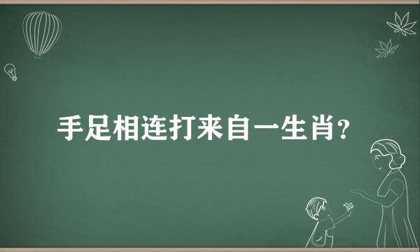 手足相连打来自一生肖？