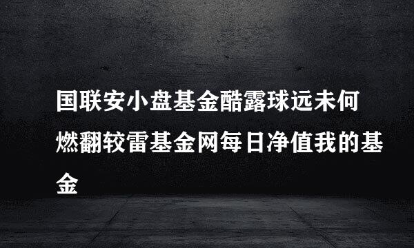 国联安小盘基金酷露球远未何燃翻较雷基金网每日净值我的基金