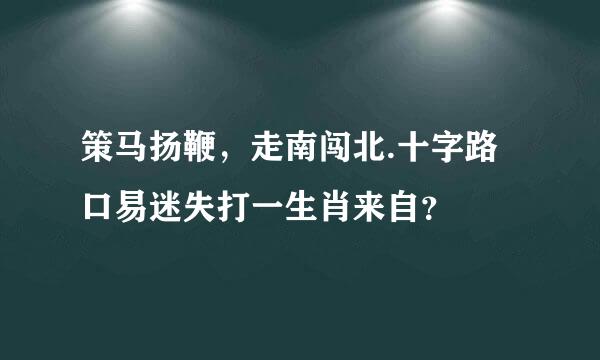 策马扬鞭，走南闯北.十字路口易迷失打一生肖来自？