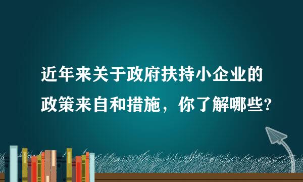 近年来关于政府扶持小企业的政策来自和措施，你了解哪些?