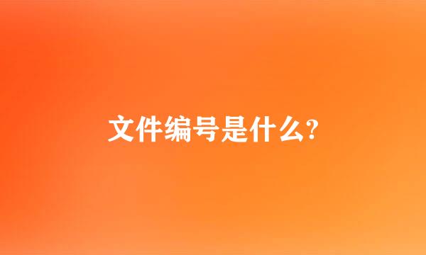 文件编号是什么?