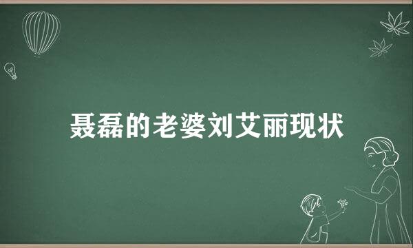 聂磊的老婆刘艾丽现状