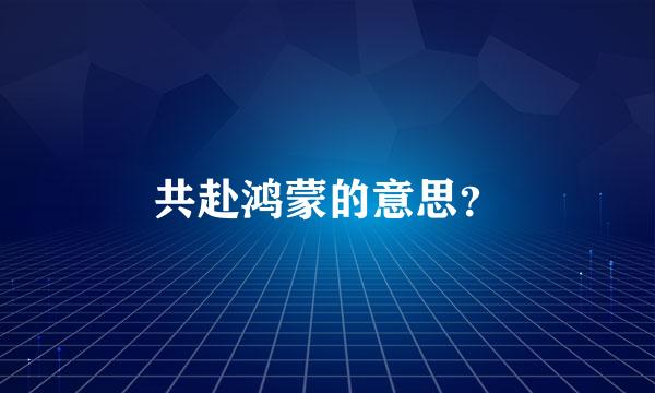 共赴鸿蒙的意思？