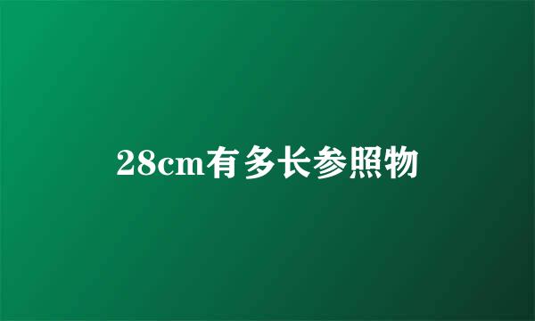 28cm有多长参照物