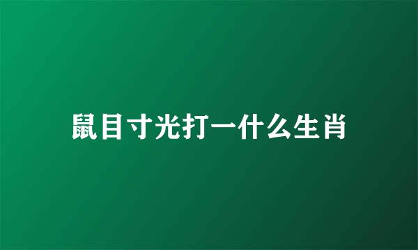 鼠目寸光打一什么生肖