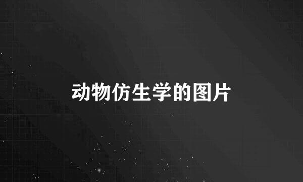 动物仿生学的图片