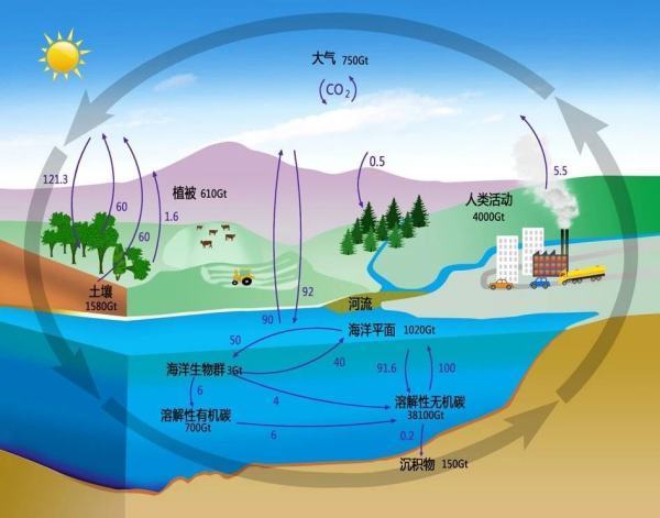 气候风险包括