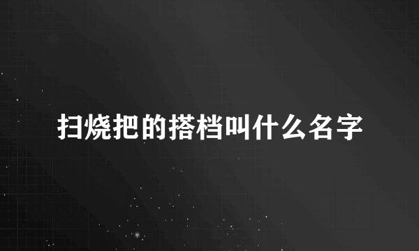 扫烧把的搭档叫什么名字