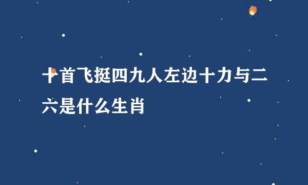 十首飞挺四九人左边十力与二六是什么生肖