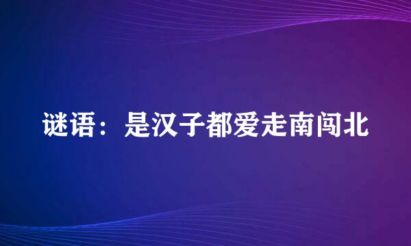 谜语：是汉子都爱走南闯北