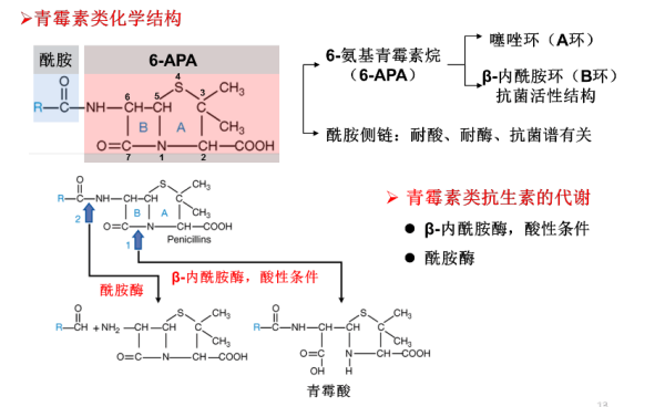 酰胺基雨增根队似脱发是什么