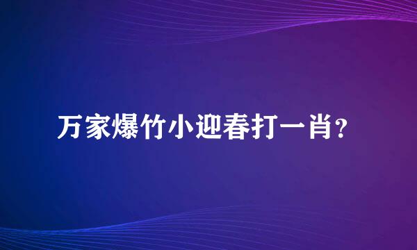 万家爆竹小迎春打一肖？