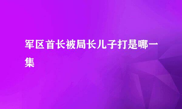 军区首长被局长儿子打是哪一集