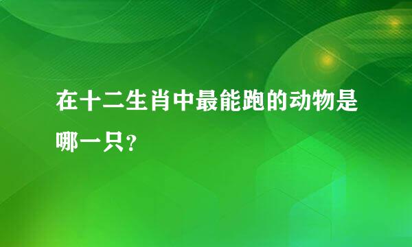 在十二生肖中最能跑的动物是哪一只？