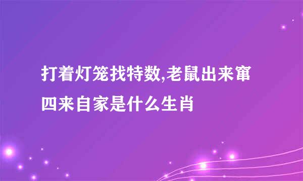 打着灯笼找特数,老鼠出来窜四来自家是什么生肖