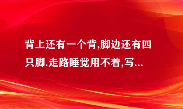 背上还有一个背,脚边还有四只脚.走路睡觉用不着,写字画画要来自用它.猜一生肖？