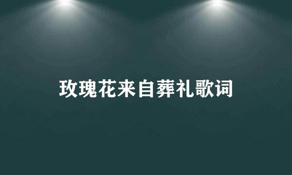 玫瑰花来自葬礼歌词