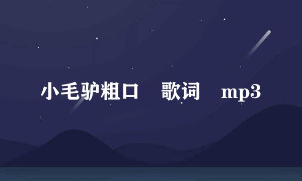 小毛驴粗口 歌词 mp3