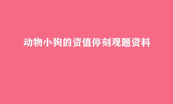 动物小狗的资值停刻观题资料