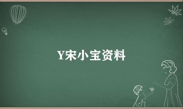 Y宋小宝资料