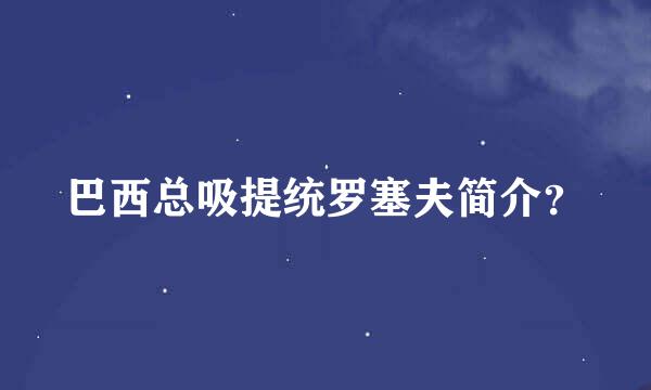 巴西总吸提统罗塞夫简介？