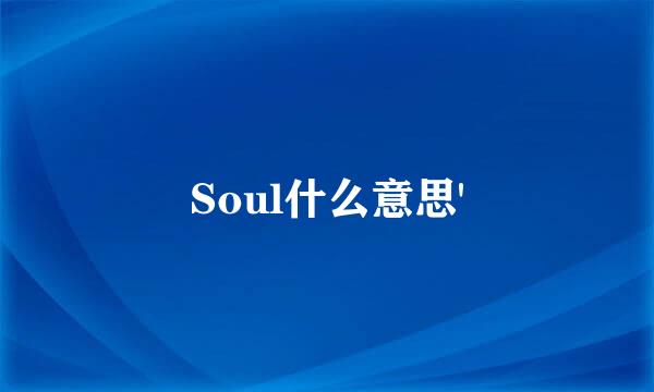 Soul什么意思'